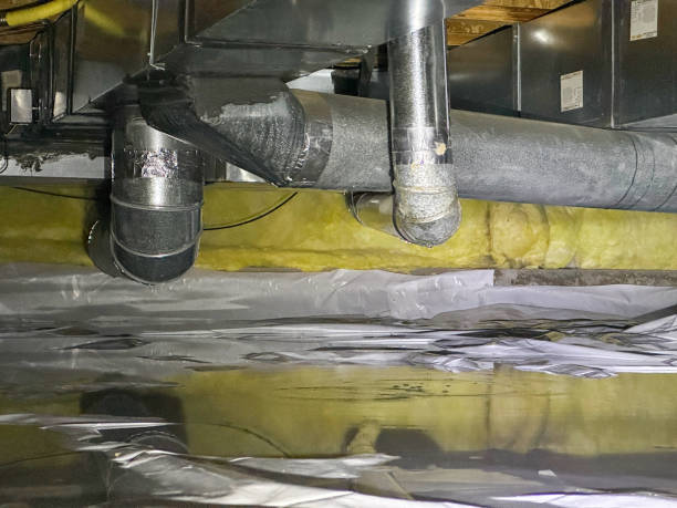 Best Basement water damage restoration  in East Islip, NY